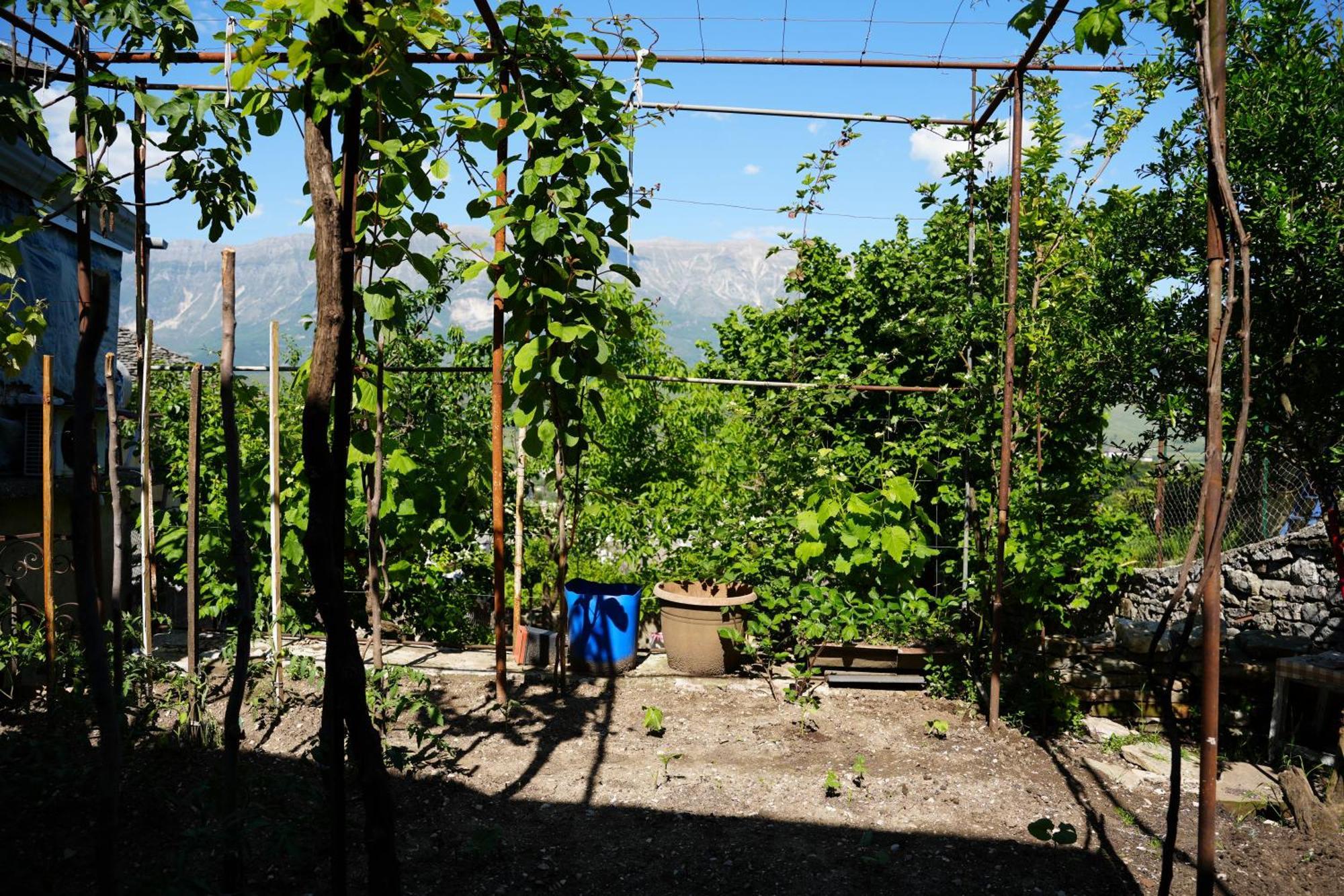 Guest House Denis Gjirokastër 외부 사진